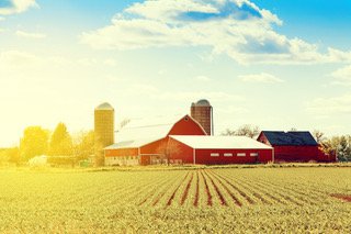 A Not So Idyllic Farm: Case Example By Employment Solicitors, Perth